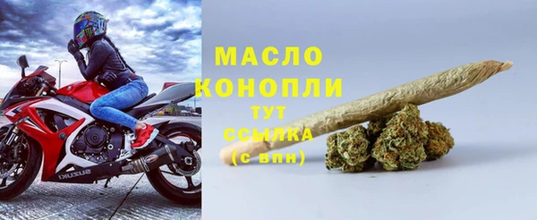 крисы Елабуга