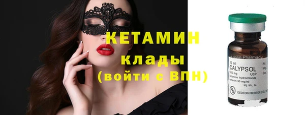 крисы Елабуга