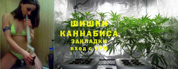 ALPHA PVP Ельня