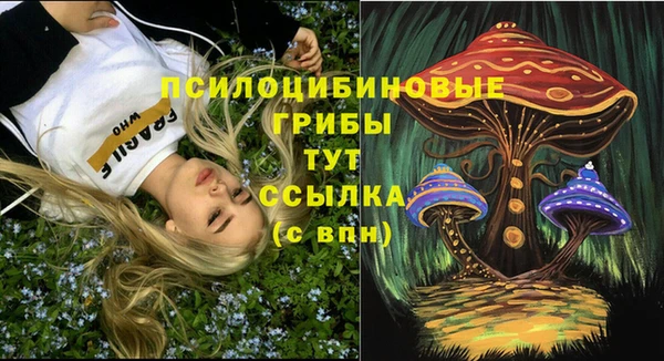 mix Дмитриев