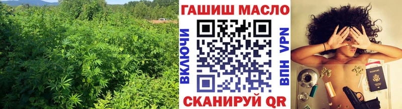 ТГК THC oil  Купить  Шали 