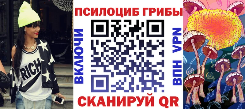 Галлюциногенные грибы мицелий  Купить где  Шали 